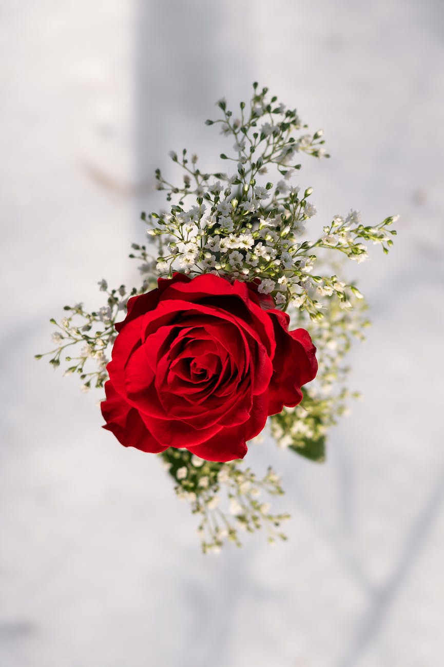 bouquet with red rose