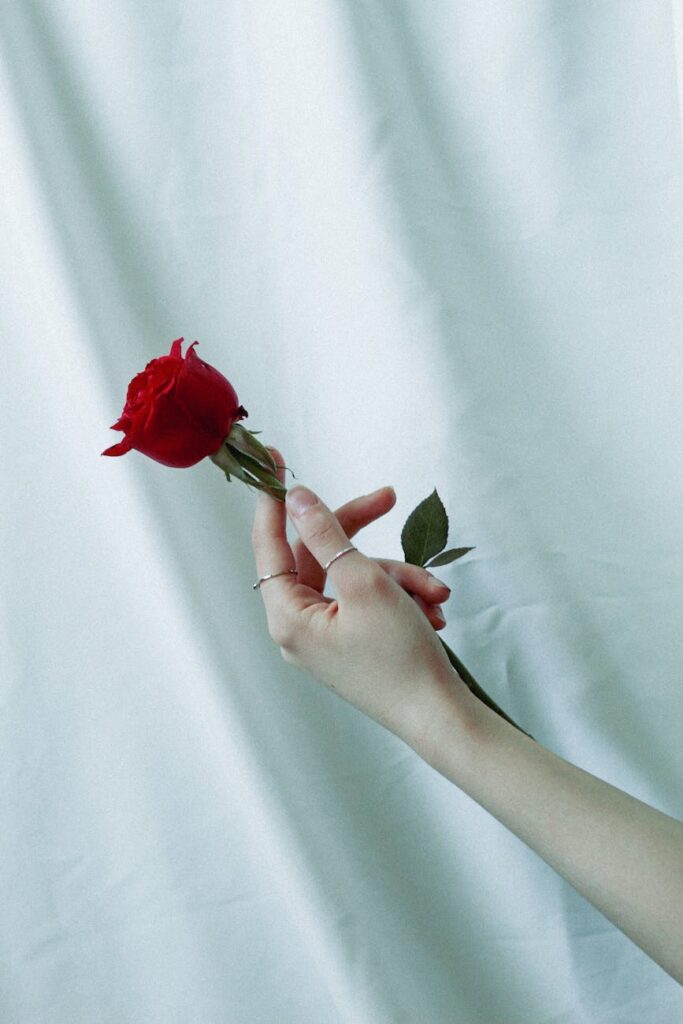 woman holding a red rose