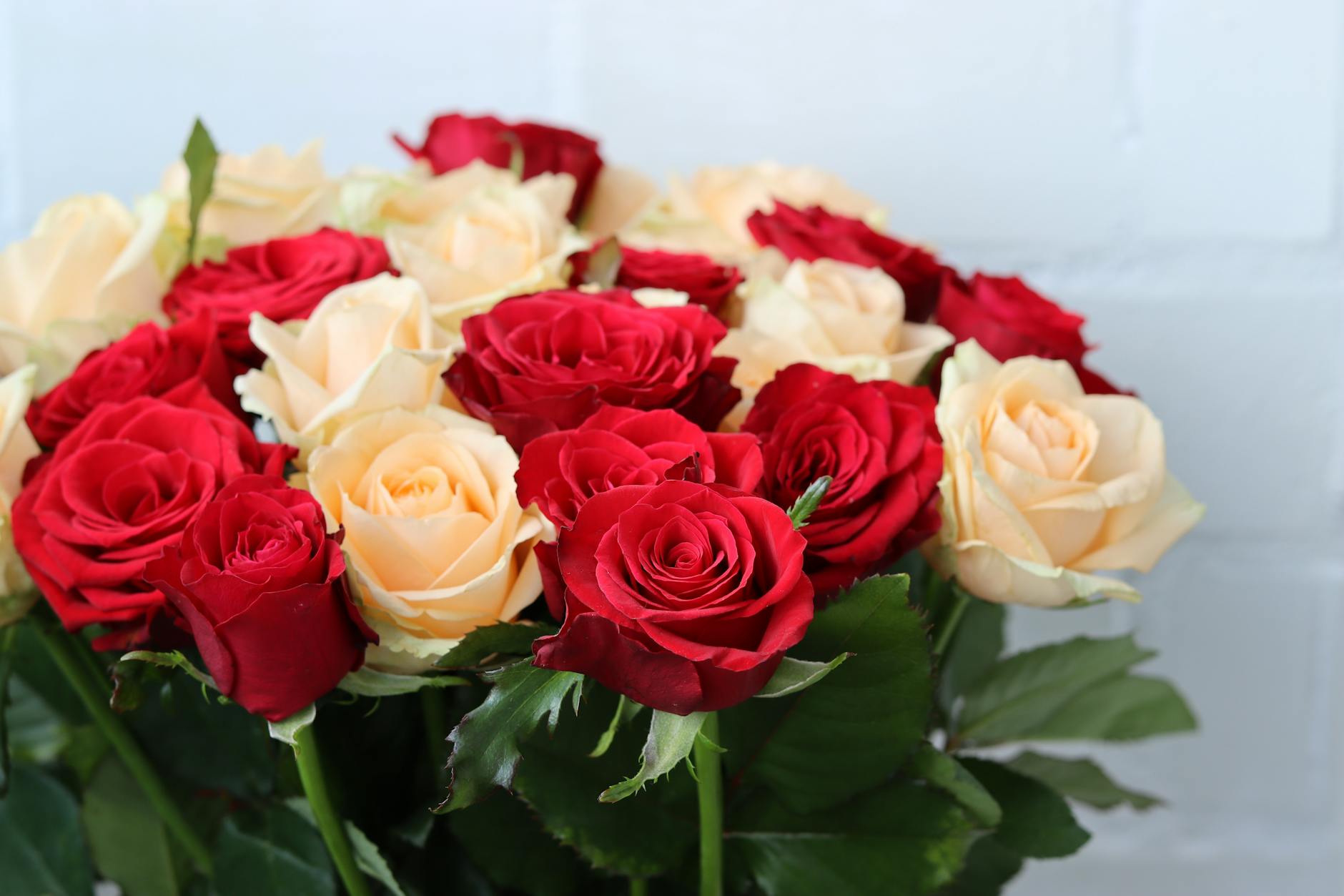 bouquet of white and red roses